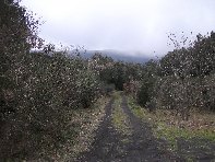 nte Ilice-20110120 066
